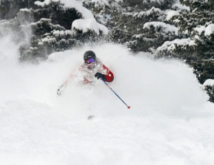 Skier plunging through deep snow in a forested area.