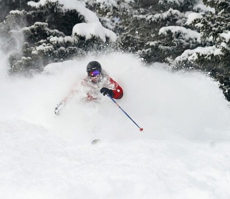 Skier plunging through deep snow in a forested area.