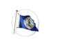 The flag of the U.S. Virgin Islands waving on a flagpole.