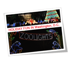 Colorful holiday lights at a festive event in Washington, D.C.