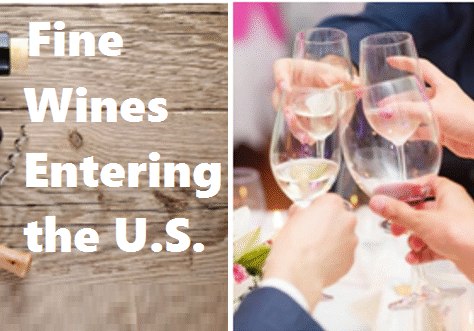 Group toasting with glasses of wine at a social gathering.