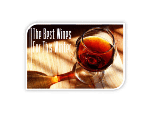A glass of red wine with the text 'The Best Wines For This Winter'.