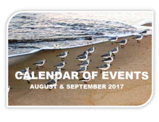 Seagulls lined up on a beach with event calendar text overlay.