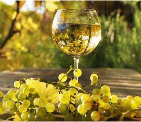 A glass of white wine with grapes on a wooden surface outdoors.
