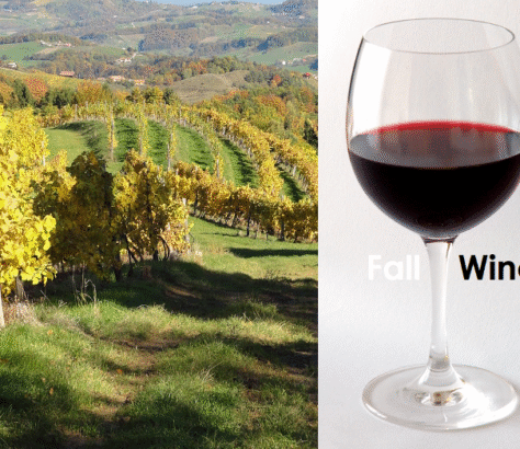 A vineyard in autumn and a glass of red wine.