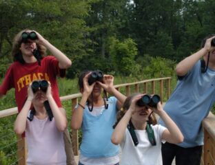 Group of people using binoculars outdoors on a sunny day.