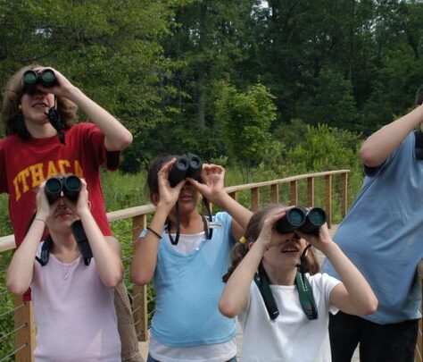 Group of people using binoculars outdoors on a sunny day.