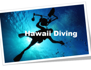 Silhouette of a diver underwater with camera gear in Hawaii.