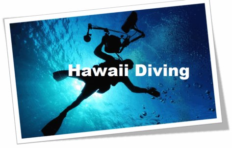 Silhouette of a diver underwater with camera gear in Hawaii.