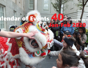 Traditional lion dance performance during a festive event.