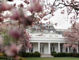White house framed by pink cherry blossoms in spring.