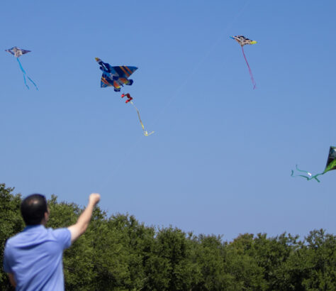 A man flying colorful kites on a clear day near trees.
