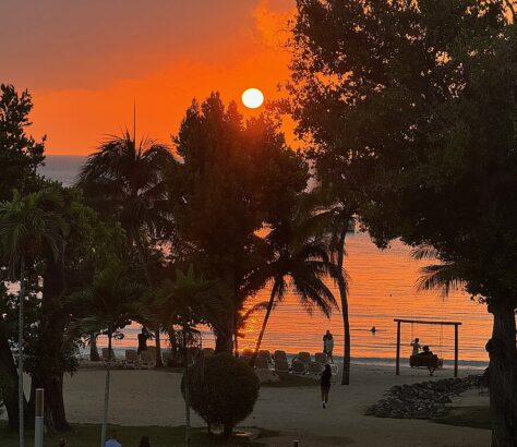 Sunset over a beach with silhouetted trees and people.